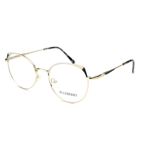 Blueberry GK1125-C6