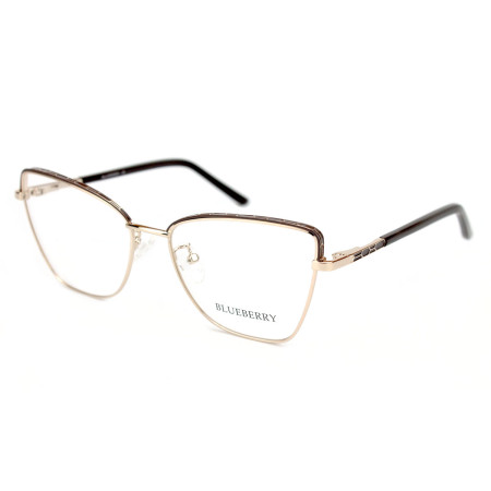 Blueberry Ana1041-C2