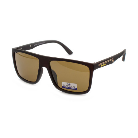 Matrius MT8855-C2
