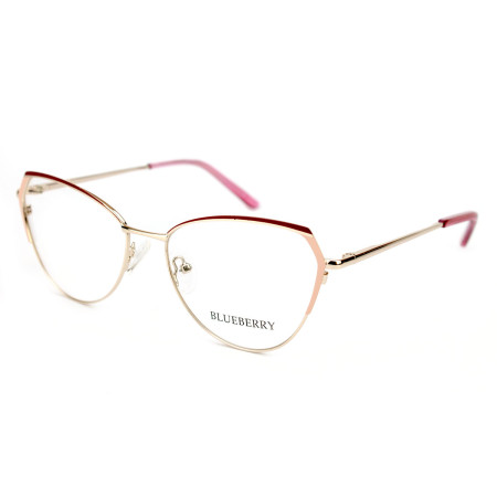 Blueberry Ana1022-C3