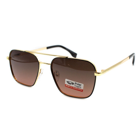 Polar Eagle 06211-c5