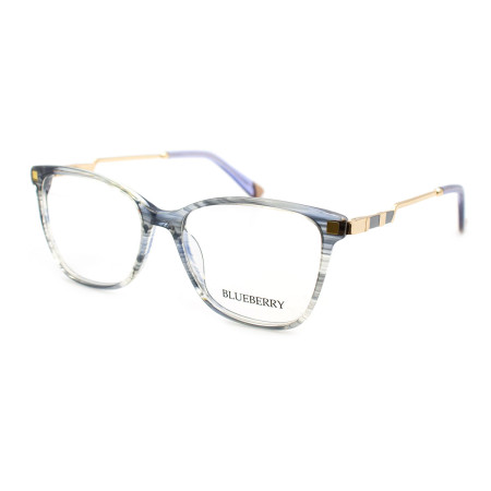 Blueberry 6510-C3