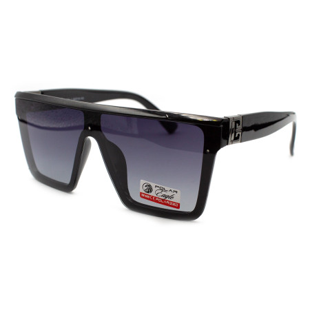 Polar Eagle 07020-c1