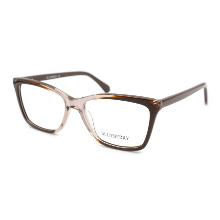 Blueberry 6500A-C2
