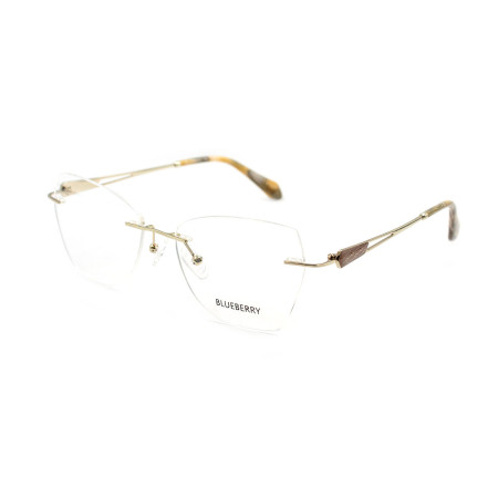 Blueberry 6500-C2