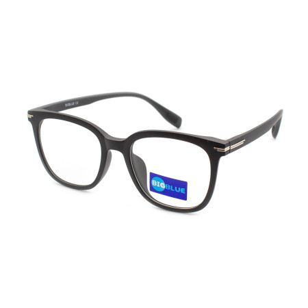Bigblue 3001-C2