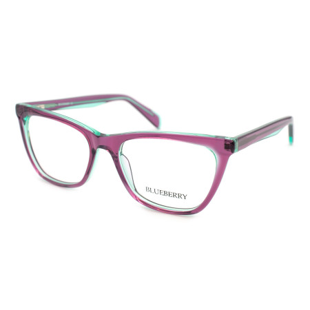Blueberry 8017-C2