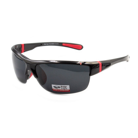 Polar Eagle 8266-C1