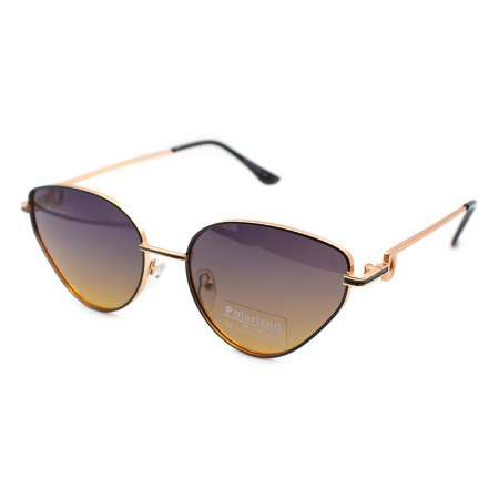 Polarized PZ08809-C5