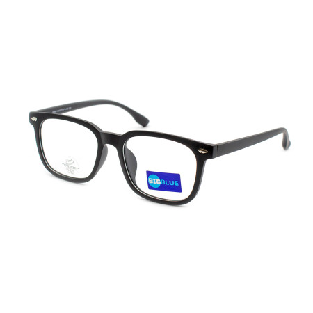 Bigblue 8041-C10