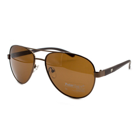 Polar Eagle 0487-c2