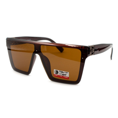 Polar Eagle 07020-c2