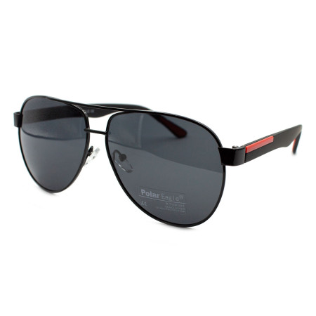 Polar Eagle 0453-c1