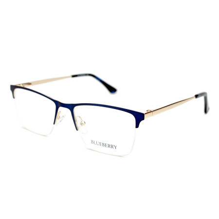 Blueberry TL3672-C4