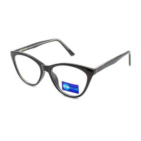 Bigblue 22079-C1