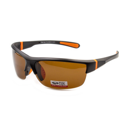 Polar Eagle 8266-C2