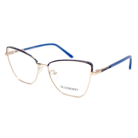 Blueberry Ana1041-C4