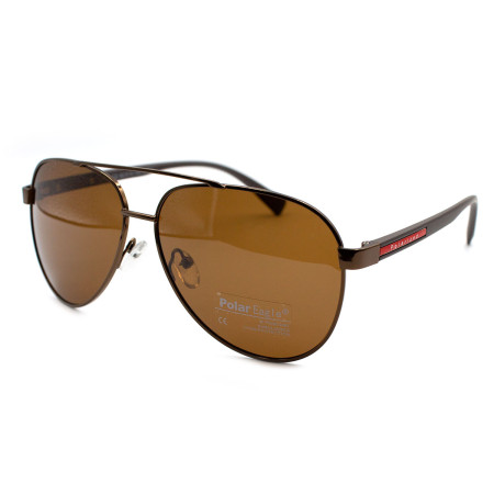 Polar Eagle 0461-c2