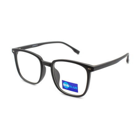 Bigblue 2101-C2