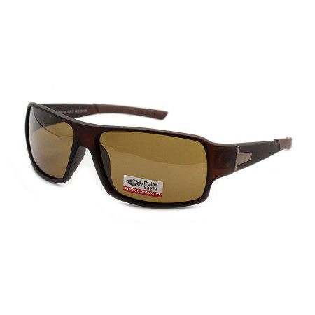 Polar Eagle 8234-C2