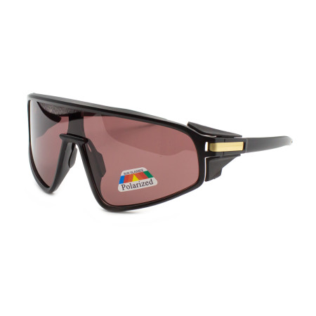 Polarized P013-C2