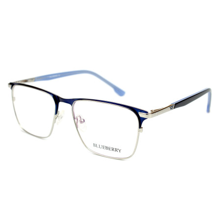 Blueberry XC61036-C2